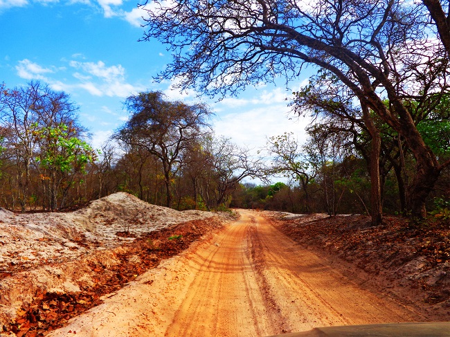 A Terra Indígena Xakriabá e o Coletivo ROMZÂ