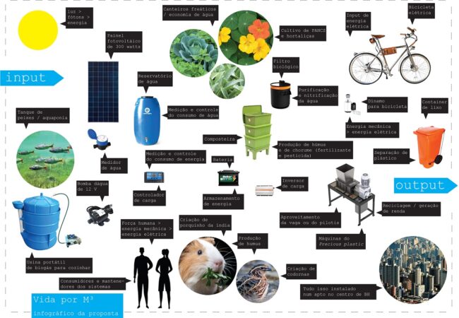 Infográfico preliminar do projeto