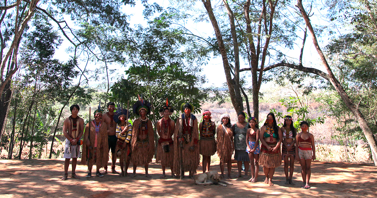 Aplicativo educativo 'dá voz' às árvores da Mata Atlântica, Terra da Gente